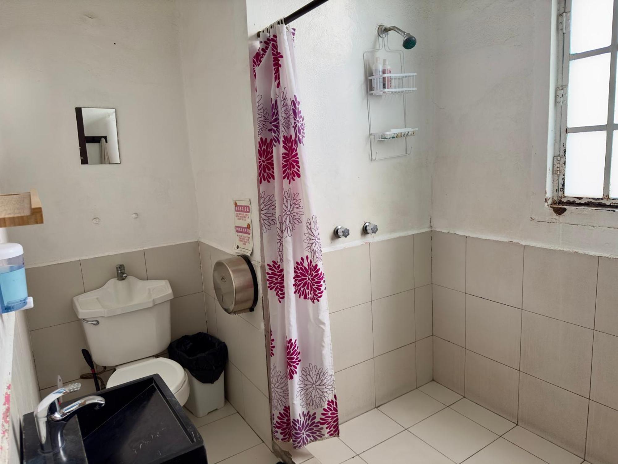 Bed in Gemengde Slaapzaal met 4 Bedden